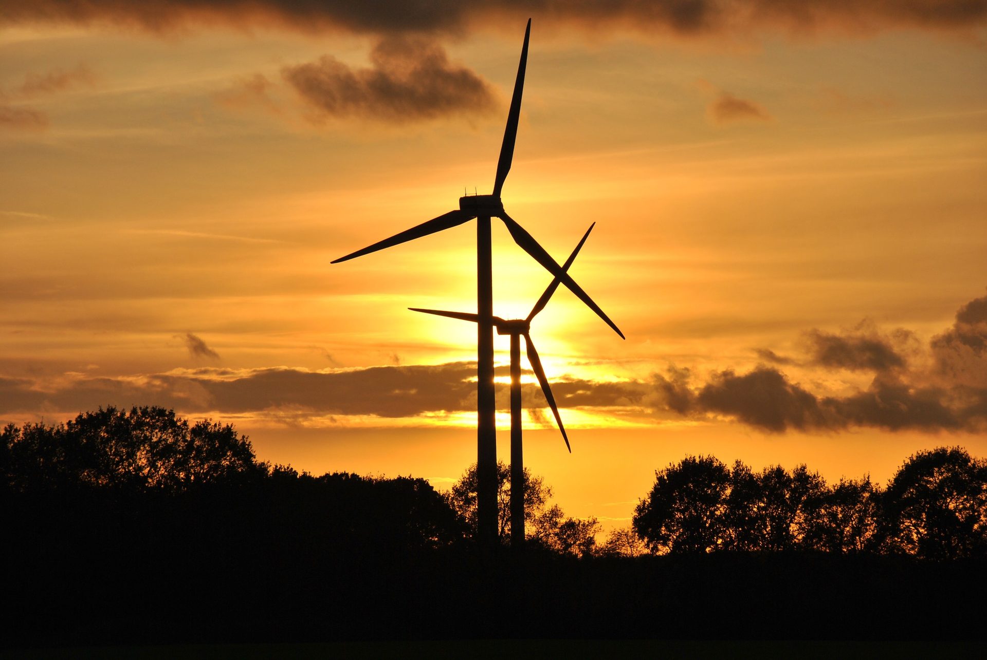 Sustainability